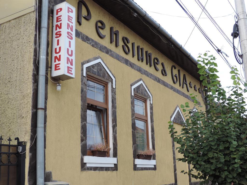 Pensiunea Gia 시기쇼아라 외부 사진